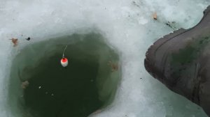 Рыбалка на навагу из подольда  Власьево