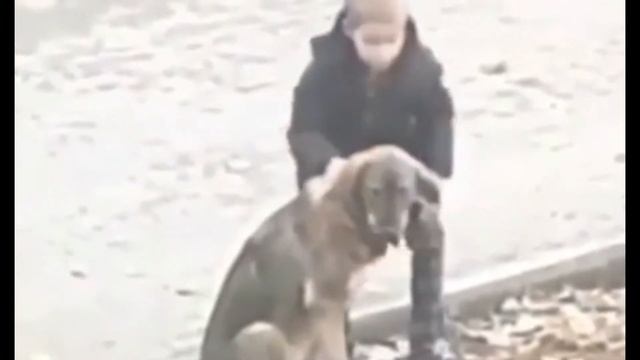 Парк онлайн. Весна 2022. Сопова Маргарита. Эмоции и добрые дела смотреть онлайн