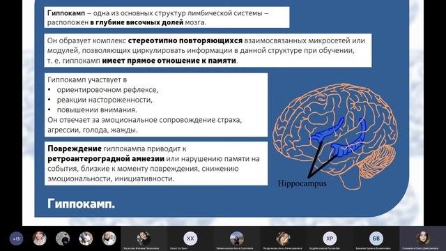 Частная физиология ЦНС | Доклады | Физиология