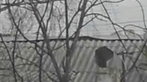 Ветрянный денек 03.04.2024. Крыша на соседнем доме ходуном ходит. Голуби летают DSCN5242