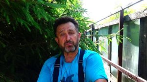 Ворота на пасеку смотреть до конца ВАЖНО