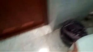 Как поймать крысу