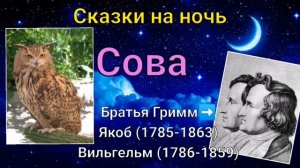 Сказки братьев Гримм. Сова