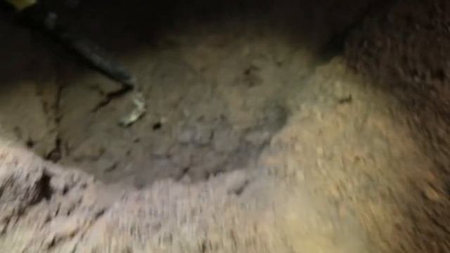 Клад царского серебра, поиск монет с металлоискателем, серебряные рубли!
