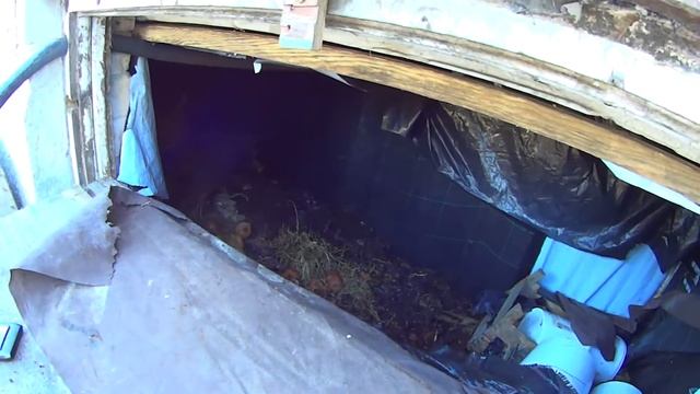 Вермисептик № 7 зимой 17.02.2016. 1 смотреть онлайн