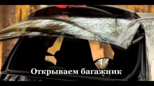 Как найти номер кузова в Smart Fortwo?