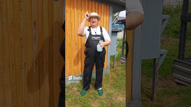 ЦЫПЛЯТА РАСТУТ НА МОЛОКЕ!