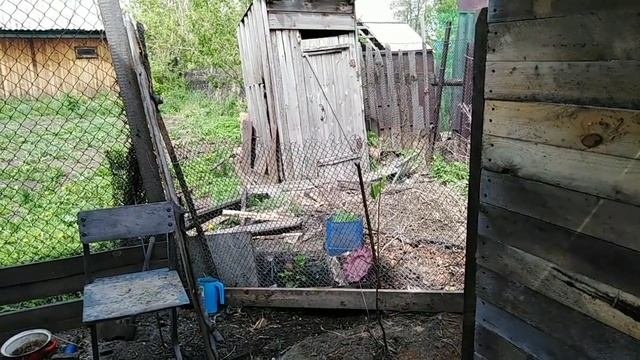 #Брудер для индоутят,новый #навес для кур,планы на ближайшее будущее 01.06.2019 г.
