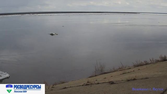 Онлайн трансляция реки Лена в районе водозабора г. Якутска