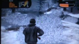 Cabela's Big Game Hunter 2009 Gameplay (wild hog)