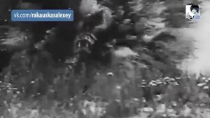 Потсдамская конференция