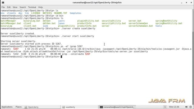 Open Liberty 19 Application Server installation on Suse Linux Enterprise Server 12 смотреть онлайн