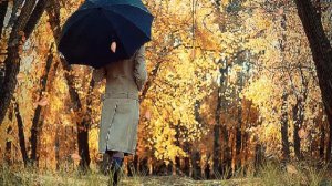 Листья желтые  - Нора Бумбиере и Виктор Лапченок