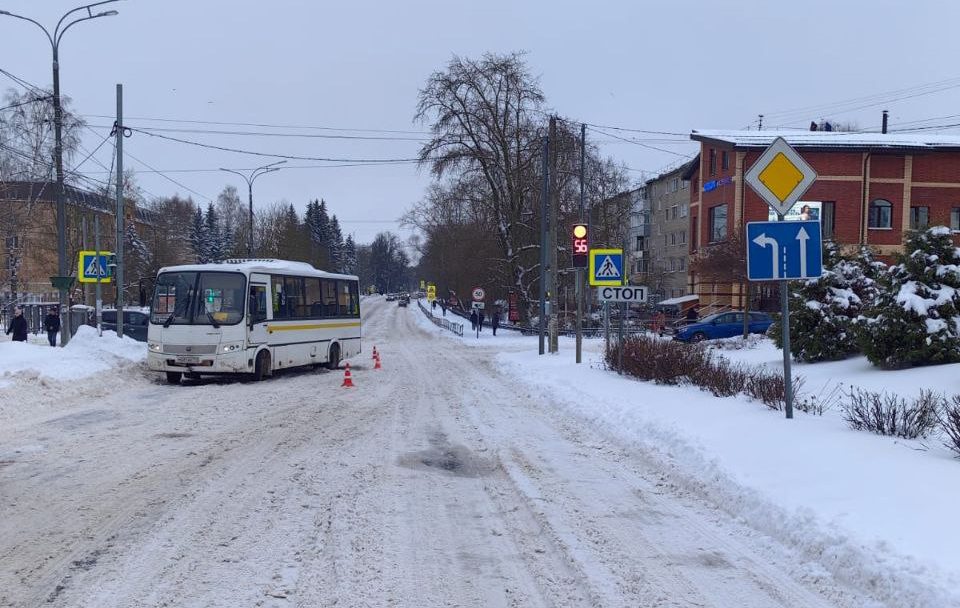 В Подмосковье 99-летняя пенсионерка попала под колеса автобуса / События на ТВЦ