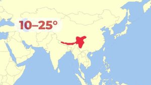 Красная_панда