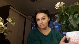 ЗИМОВКА БЕГОНИЙ/КОМУ НУЖЕН ОТДЫХ, А КТО МОЖЕТ  БОДРСТВОВАТЬ И ЦВЕСТИ ЗИМОЙ  ????