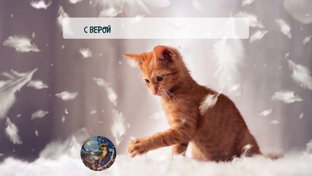 Пусть сбываются мечты. Котенок. Пожелание прекрасного дня. #cat #котята #пожелания #cute #cutecats смотреть онлайн