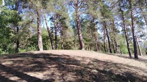 МОЛИТВА РОДУ ЗА ОТЧИЗНУ⚡