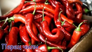 Овощи/Учим названия овощей/The studied vegetables in the Russian language