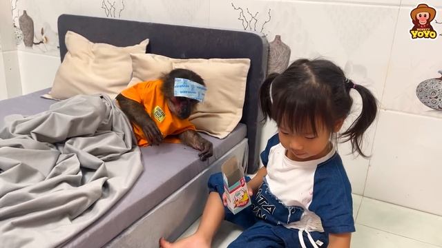 YoYo Jr pretended to be sick to Dr  Ai Tran could examine him