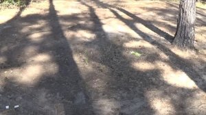 Обзор селфи дрона dobby zerotech