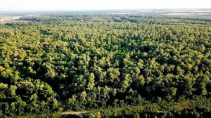 Белореченск