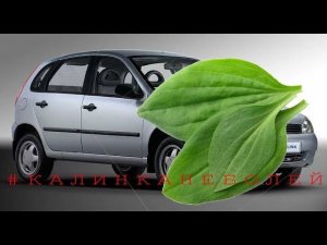 Как отходил временный пыльник стойки и необычный стук в калине