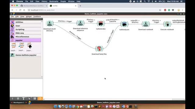 BioDepot Workflow Builder (BwB) Demo - Kallisto, Sleuth and Jupyter Notebook смотреть онлайн