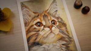 Кот АКВАРЕЛЬЮ. A cat in watercolor.