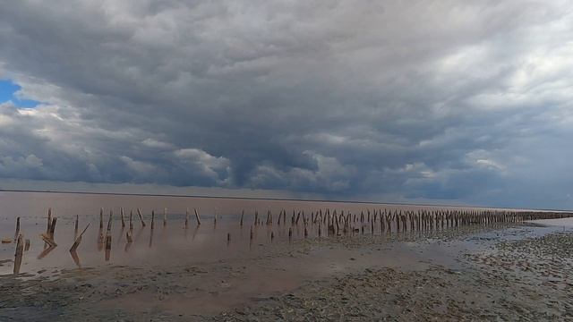 УДИВИТЕЛЬНЫЙ КРЫМ. Озеро Сасык-Сиваш. Цветущие маковые поля. смотреть онлайн