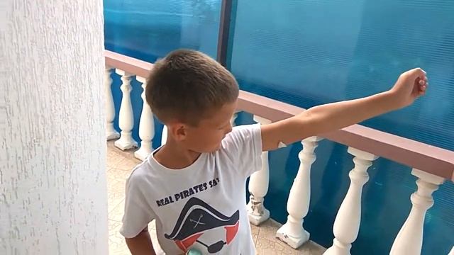 Белый мотылёк в верх ромашками смотреть онлайн