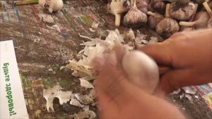 Как СОХРАНИТЬ ЧЕСНОК в КВАРТИРЕ до НОВОГО УРОЖАЯ