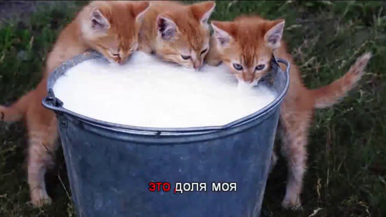 Сок березовый КРФ смотреть онлайн