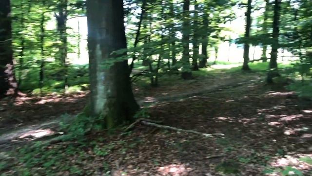 Blarney Pilgrim on irish flute смотреть онлайн