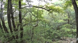 Крым. Краснокаменка. Храм святых апостолов Петра и Павла.