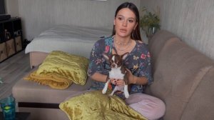 Мне подарили ЧИХУАХУА!Первые дни щенка в доме(советы)Начинаю свой LIFE VLOG!!!