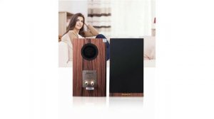 5 Nobsound Quality Bookshelf Speakers & Subwoofer