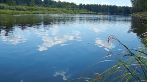 Ловля щуки, Не клюёт и как с этим бороться.