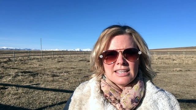 Weekly Oracle Card Reading for the week of March 20, 2017 смотреть онлайн