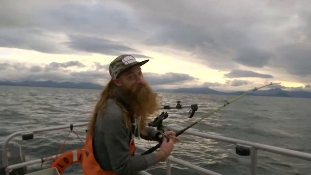 Заливное из белой рыбы. Палтус с полентой. Высокая кухня Аляски/ALASKA'S WILD GOURMET(Высокая кухня