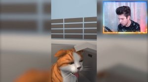 САМЫЙ ГРУСТНЫЙ СИМУЛЯТОР КОТА - Cat Life Simulator