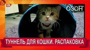 ТУНЕЛЬ * Ксюшкины ИГРУШКИ, Подарки для кошки на день рождения) ТОВАРЫ ДЛЯ КОШЕК Распаковка