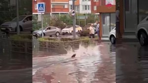 Самокат опасная штука.