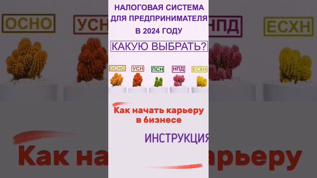 КАК ВЫБРАТЬ СИСТЕМУ НАЛОГООБЛОЖЕНИЯ В 2024 ГОДУ #бухгалтер #налоги #ип