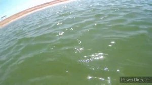 С палаткой на Должанской Косе!!!