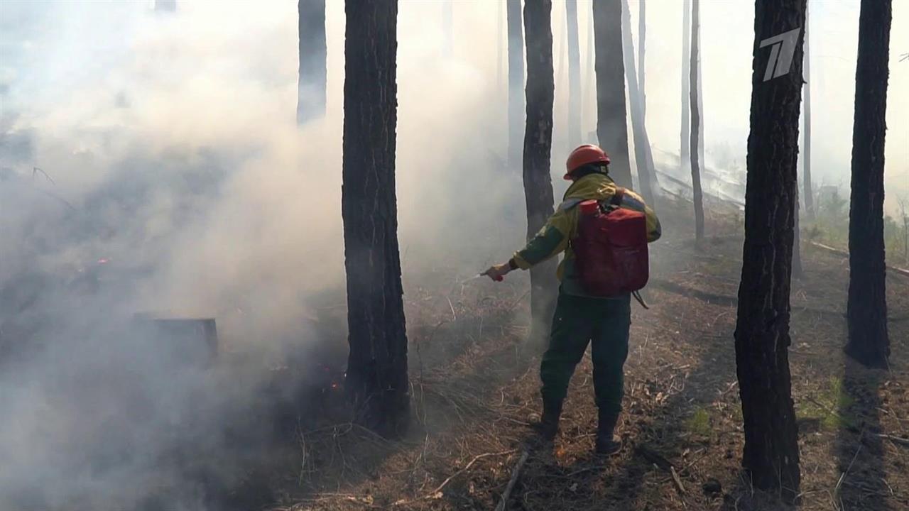 За сутки сотрудники Авиалесохраны потушили почти 70 природных пожаров в российских регионах