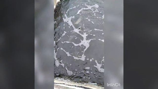 Готовимся к соревнованиям! смотреть онлайн