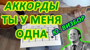 Ты у меня одна Аккорды ? Юрий Визбор ♪ Разбор песни на гитаре ♫ Гитарный Бой для начинающих