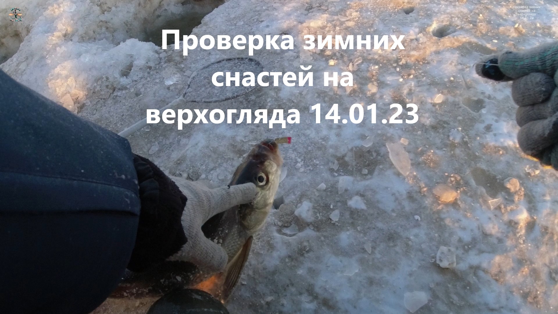 Проверка зимних снастей на верхогляда 14.01.23т