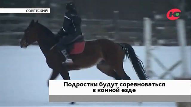 Юные наездники покажут себя на турнире по конному спорту смотреть онлайн
